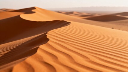 Desert sand textures embodying adaptability and boundless potential