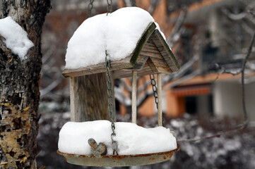 wooden bird feeder hanging on small tree covered with winter snow with blurry orange berries in foreground. residential building in the background. concept of wildlife in urban area n winter time.