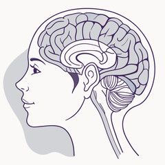 human brain vector