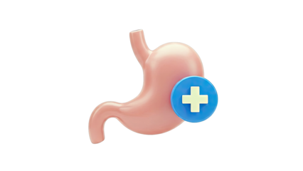 3D Stomach Icon with Medical Plus Symbol