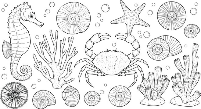 Marine life line art collection featuring black and white vector designs of a seahorse crab starfish coral and seashells for aquatic branding.