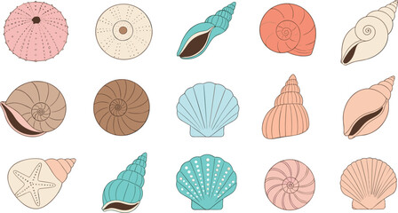 Seashell and sea urchin icon collection featuring colorful vector designs of spiral shells scallops and starfish for marine life and coastal branding. © Shefali