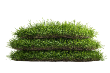 A close-up view of a lush green grass field, showcasing the vibrant texture and color of the blades, isolated on transparent background