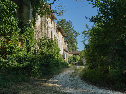 Path Through Overgrown Ancient Buildings in Collecchio, Person Explores Historic Woodland Ruin in Carrega Park, Parma - Italy