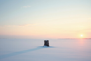 Lone tree stump in vast snowy winter landscape at sunset with copy space