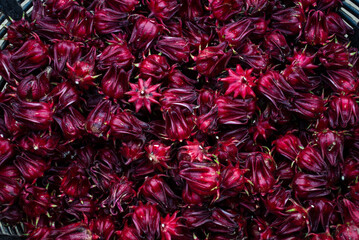 Close-up of fresh roselle hibiscus calyces with deep red color and rich texture. Popular tropical plant used for herbal tea, juice, and healthy food concepts, ideal for food and agriculture themes.
