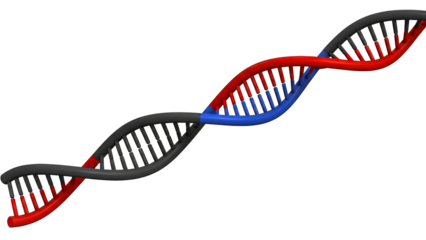 Intricate DNA double helix structure featuring segmented color variations symbolizing genetic information and biological processes suitable for scientific education and medical advancements