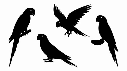 Obraz premium a striking silhouette depiction showcases three vibrant parrots in various poses one perched one in flight and one resting peacefully high quality professional detailed modern elegant