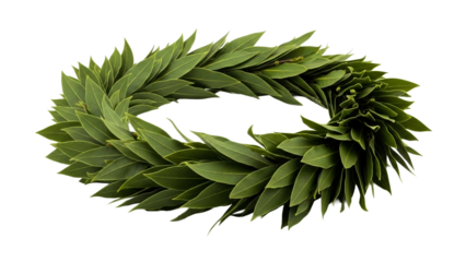 Fresh green bay leaf wreath forming a celebratory circular arrangement symbolizing victory, achievement, and excellence, perfect for academic, sport, or award themed applications.