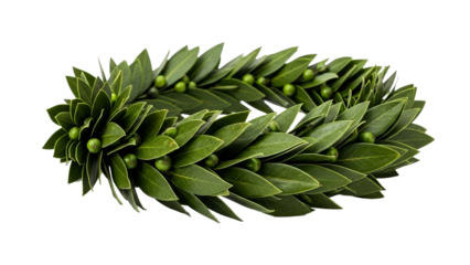 Organic verdant leaf garland featuring small green berries in a traditional circular arrangement, ideal for symbolizing success, welcome, or natural decoration.