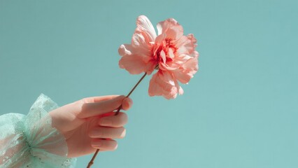 A pink peony on a stem held by a hand with a sheer aqua sleeve against a turquoise background. Concept Pink peony close-up on stem, Hand holding bloom in sheer aqua sleeve