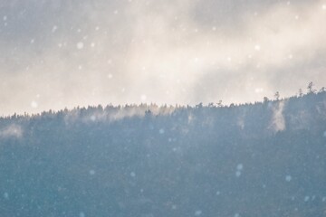 Winter nature scenery. Heavy snowfall as an background.