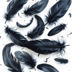 Obraz premium Arrangement of Black Feathers on White Background for Abstract Design