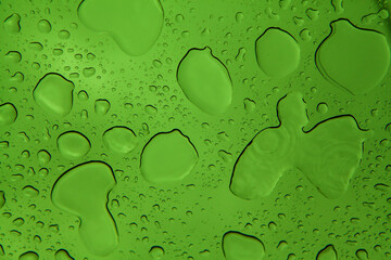 water drops on green background
