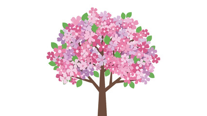 Pink Cherry Blossom Tree Isolated on White Background