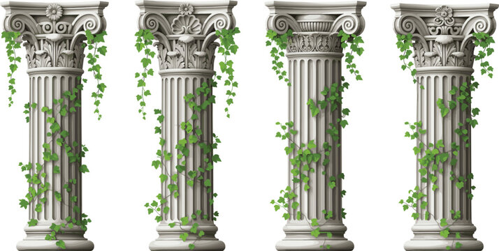 Ancient classical stone columns with ivy vines vector illustration isolated on white background for architecture and heritage design