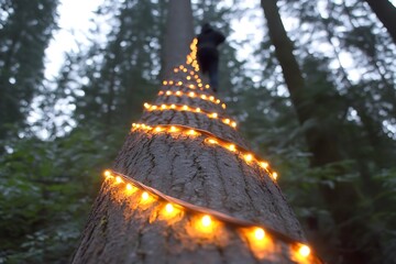 Person climbing tree decorated with bright christmas lights high resolution image