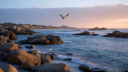 A coastal scene at dawn where gentle waves lap against rocky shores, with a colorful sunrise illuminating the horizon and a lone seagull soaring above the tranquil water. cinematic color