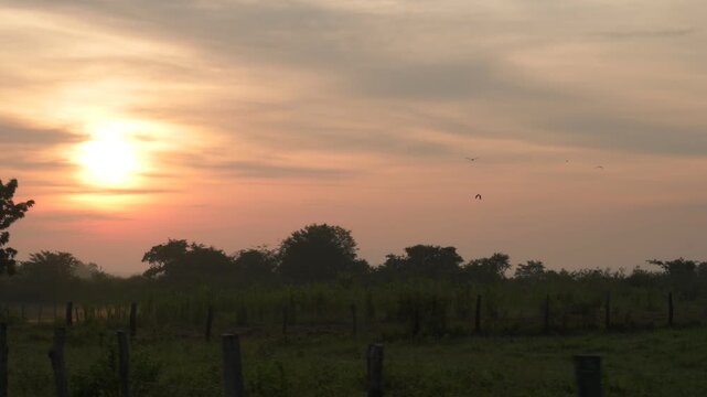 Hermosa salida del sol con neblina matutina en una llanura agr&iacute;cola
