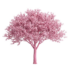 Obraz premium beautiful pink cherry blossom tree on Isolated transparent background png. generated with AI