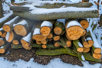 Schneebedeckter Holzstapel aus geschnittenen Baumst&uuml;mpfen