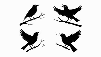Obraz premium a minimalist illustration depicts four black silhouettes of birds in varying poses perched on slender branches showcasing flight and rest high quality professional detailed modern elegant