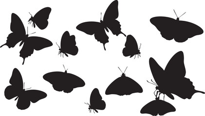 Black silhouette of various butterfly shapes on white background silhouettes nature