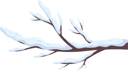 Winter Snow Branch