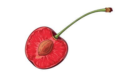 Cross section of a single ripe red cherry showing the internal pit and fruit flesh attached to a long green stem.