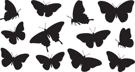 Black Silhouettes of Various Butterfly Shapes on White Background butterflies nature