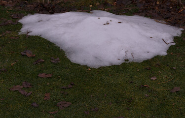 a small pile of snow on a green lawn