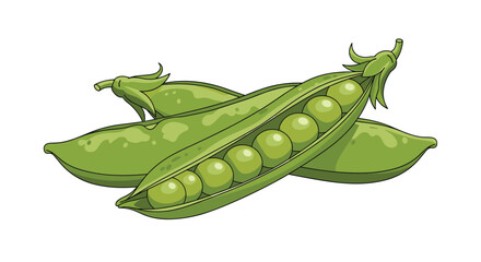 Two green pea pods with one open showing round peas inside placed on a plain white background for cooking healthy meals.