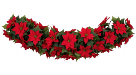 Red poinsettia christmas garland isolated on transparent background for festive holiday decoration