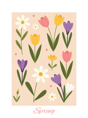 A set of bright spring flowers in a simple flat style