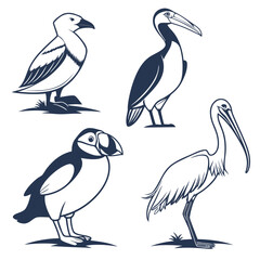 Obraz premium Collection of bird illustrations