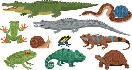 Obraz premium Reptiles and amphibians animals collection vector illustration with crocodile frog snake turtle chameleon and lizard isolated on white