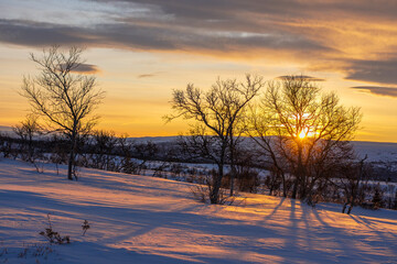 sunset in the winter