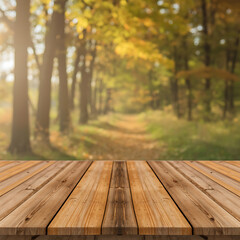 A professional product photography background featuring a clean wooden plank floor in an autumn forest park with sun light bokeh and trees under a clear sky