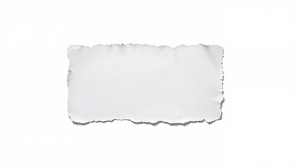 A torn piece of paper with rough edges on a white background.