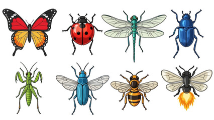 Collection of Insect Illustrations with Butterflies, Ladybugs, Dragonflies, Beetles, Mantises, Flies, Bees, and Wasps