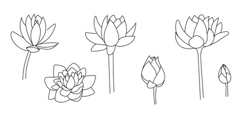 Line lotus vector flat, sketch flower, doodle water lily isolated