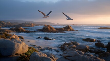 A coastal scene at dawn where gentle waves lap against rocky shores, with a colorful sunrise illuminating the horizon and a lone seagull soaring above the tranquil water. cinematic color