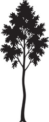 Obraz premium A clean, minimalist black silhouette of a tall, narrow deciduous tree with a curved trunk and delicate leaf clusters, isolated on a white background for versatile design use.
