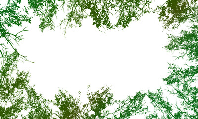 Tree branches green silhouette frame with copy space background. natural decorative.