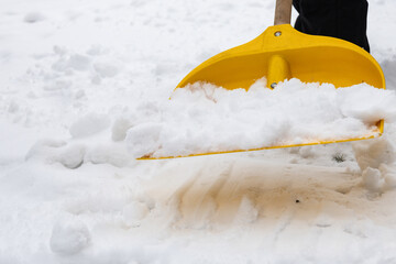 snow shovel in the snow