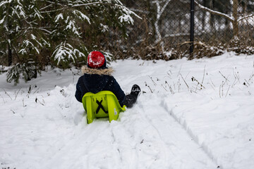 children are sledding down a small hill