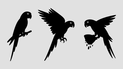 Obraz premium a striking silhouette composition showcases three parrots in varying poses one perched one in mid flight and another descending all depicted in black high quality professional