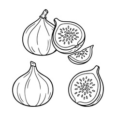 A hand drawn illustration depicts two figs one sliced open revealing its inner details in black and white.