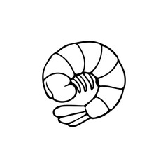 Hand Drawn Shrimp Line Art Vector Illustration