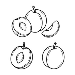 A bunch of drawn vector peaches. Vector apricots. Sketch of whole fruit, sliced and halves. Peach on a branch.